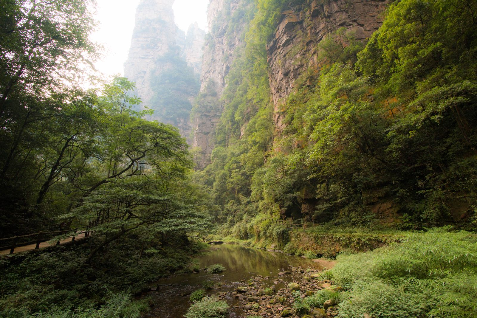 Misty gorge in a national park, China