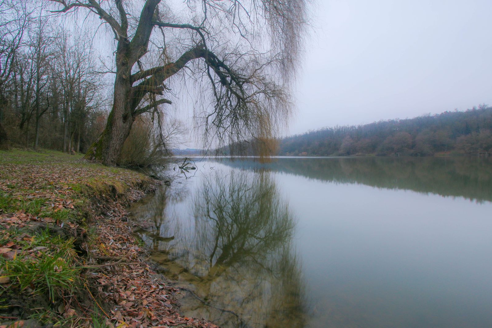 Frozen lake in winter, Hungary